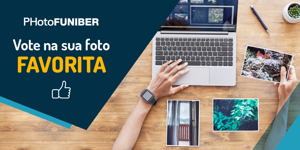 unic_cuanza's tweet photo. PhotoFUNIBER

Vote na sua foto favorita!

Para votar, acesse o seguinte endereço: https://t.co/NYcHC27TKP
 
#UNIC #PhotoFUNIBER #concursodefotografia #FUNIBER https://t.co/subtxzfX5Y