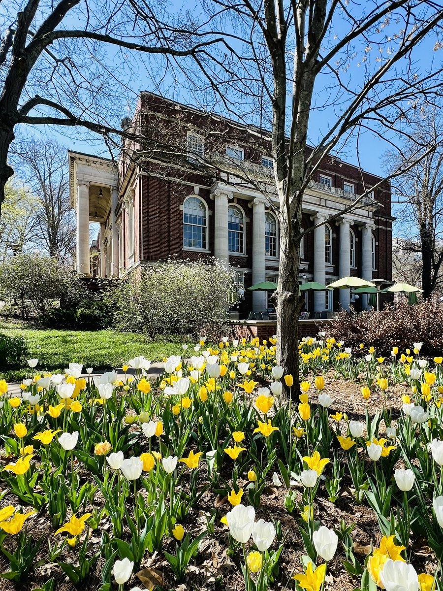 sarahstvn's tweet photo. Flowers are blooming on Peabody Campus! 🌷☀️🌸 

#vupeabody #vandygram #vandylibraries #vupeabodylibrary https://t.co/x3vgNPTPn1