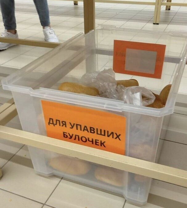 Наконец-то я нашёл своё место в жизни!