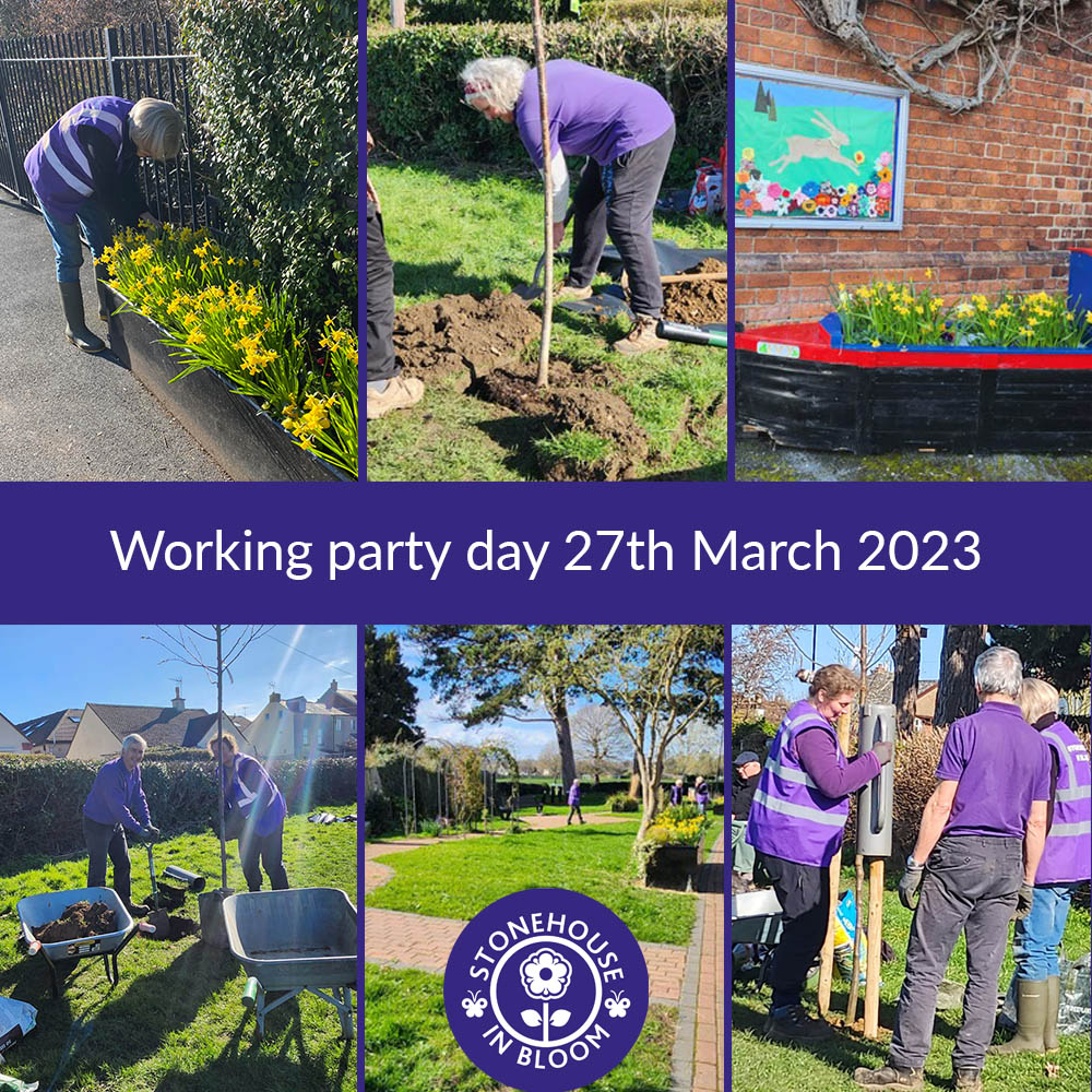 Working Party Day 27th March - No change of clocks 'fuzz' affecting our WP tasks today. Glorious to be able to feel Spring sun on our backs, as we weeded/tidied throughout town + planted 2 donated trees (from a local resident) in Laburnum Playing Field. @HOEInBloom @RHSBloom
