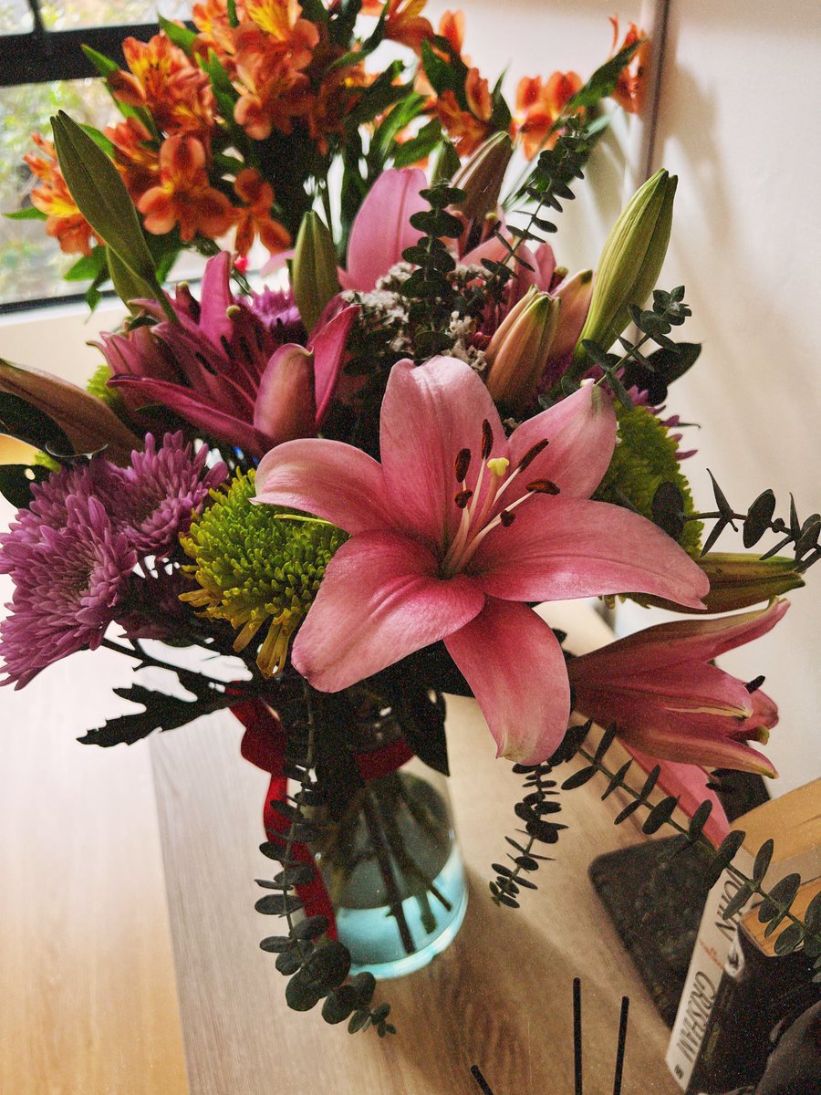 julicserna's tweet photo. Mis flores merecen un tweet 😍
Feliz semana!! https://t.co/pPdQ8J3XU0