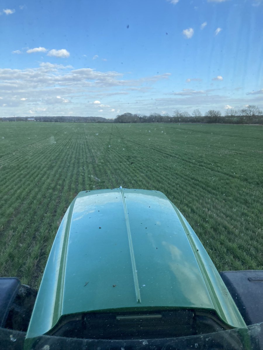 Jethro777777's tweet photo. After 75mm of rain sleet and snow on the past 2 weeks or so I am surprised how well this is travelling. 2nd wheat #SYinsitor #DD after #dawsum wheat. #regen. #horschCO6 #dutchopeners https://t.co/iAtZPddHfn