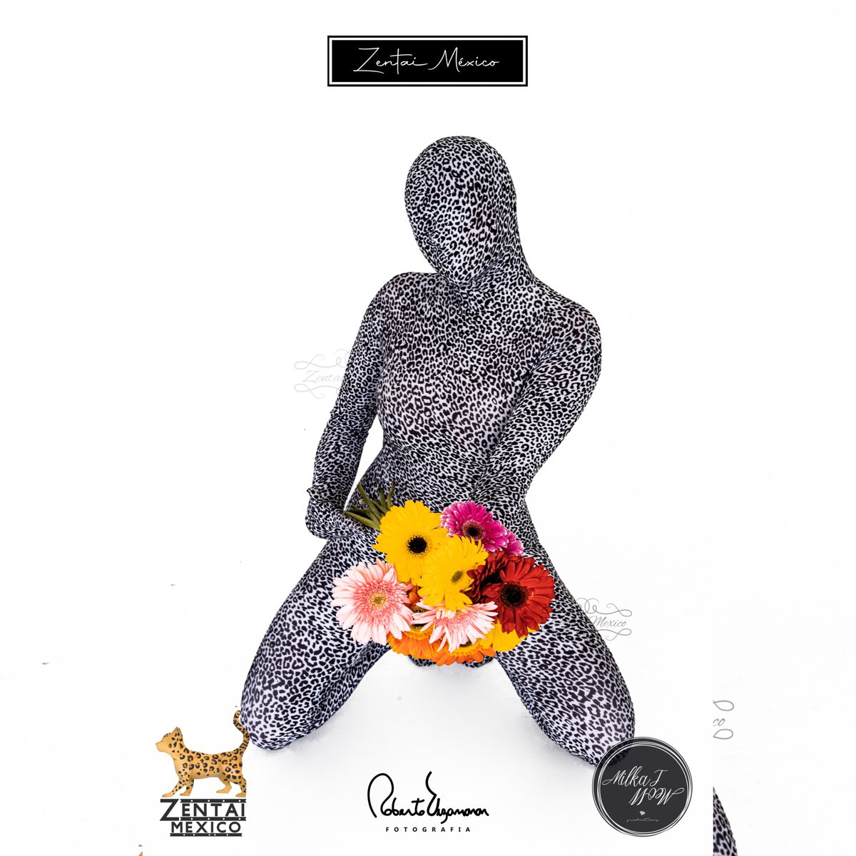 ZENTAIMEXICO's tweet photo. 🤍 Flores para ti 🤍
Les late si le damos la bienvenida a las fotitos con flores ? 🥰 Lu eres increíble ❤️
Modelo : lu__pellon
Fotografía: bob.e.t
#zentai #zentaigirl #zentaimexico #zentaisuit #modelo #model #newiconmodel #elegancia #photography #fotografia #cdmx https://t.co/A6DlRxaUzf