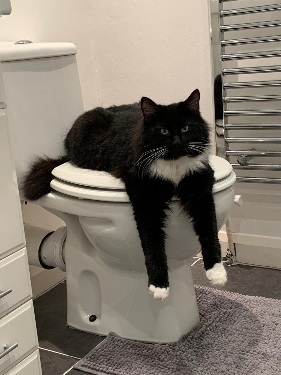 Steve Jones tweet media