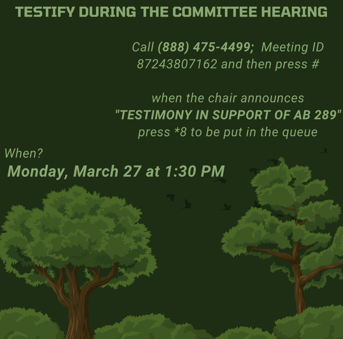 Carter4nv's tweet photo. I am presenting my bill, Assembly Bill 289 in the Assembly Committee on Health and Human Services. Tune in to learn more and to support #AB289!

#NVLeg https://t.co/xy5SDa3dGi