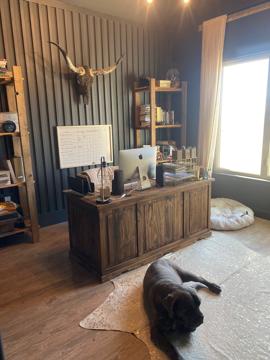 Love work from home days, i call my office aesthetic “cowgirl dark academia.”  Nice sweater on top for Zoom meetings, tie dye pj pants on the bottom 😜 #crimtwitter #academia #homeoffice #mastiff