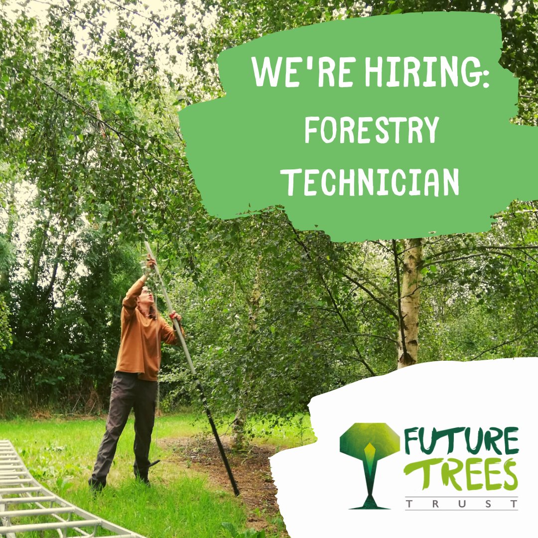 FutureTreesUK's tweet photo. Future Trees Trust is hiring!
We are seeking a motivated individual to assist with an exciting new research project, working to bring underused minor species to the forestry sector. Based in South Oxfordshire:
https://t.co/3HGlDKDozC https://t.co/qqX2UyymEu