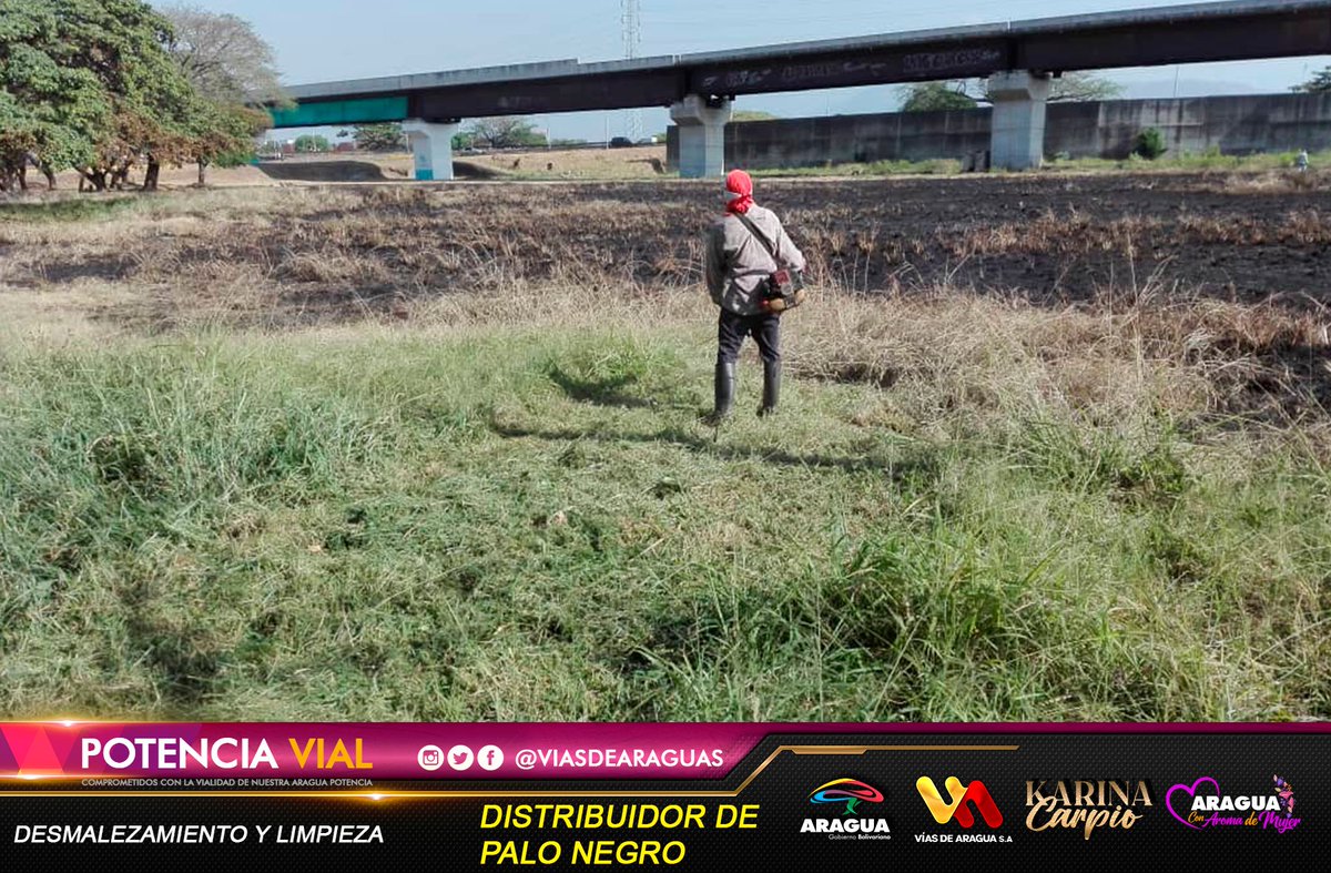 🚧📸Gdora. <a href="/Soykarinacarpio/">Karina Carpio</a> con trabajo y compromiso en #Aragua realizando un excelente trabajo.
🚩Distribuidor Palo Negro
✅Desmalezamiento.
✅Limpieza de canal y despeje de hombrillo.
✅Recolección de desechos.
#NiCorrupciónNiGuarimbas
<a href="/NicolasMaduro/">Nicolás Maduro</a> <a href="/dcabellor/">Diosdado Cabello R</a> <a href="/VTVcanal8/">VTV CANAL 8</a>