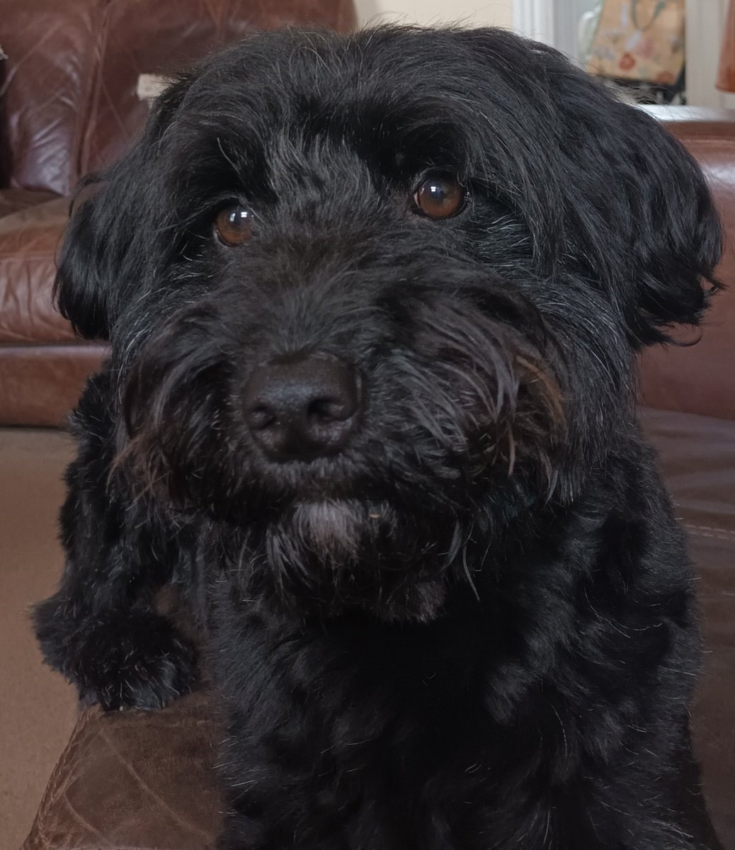 Lynn Towler tweet media