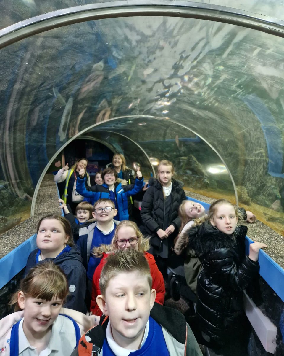 NewBrightonPS's tweet photo. Class BD have been reading the Seal Surfer in class this half term and really enjoyed visiting the SeaQuarium in Rhyl 🏴󠁧󠁢󠁷󠁬󠁳󠁿 to see these magnificent creatures and other sealife up close. 🌊🦭🐚🐢🦈🐠🐡🦈🐟🦀 🏴󠁧󠁢󠁷󠁬󠁳󠁿 #nbpsLotC #nbpsSchoolTrips #nbpsCornerstones https://t.co/87SQUrWb89