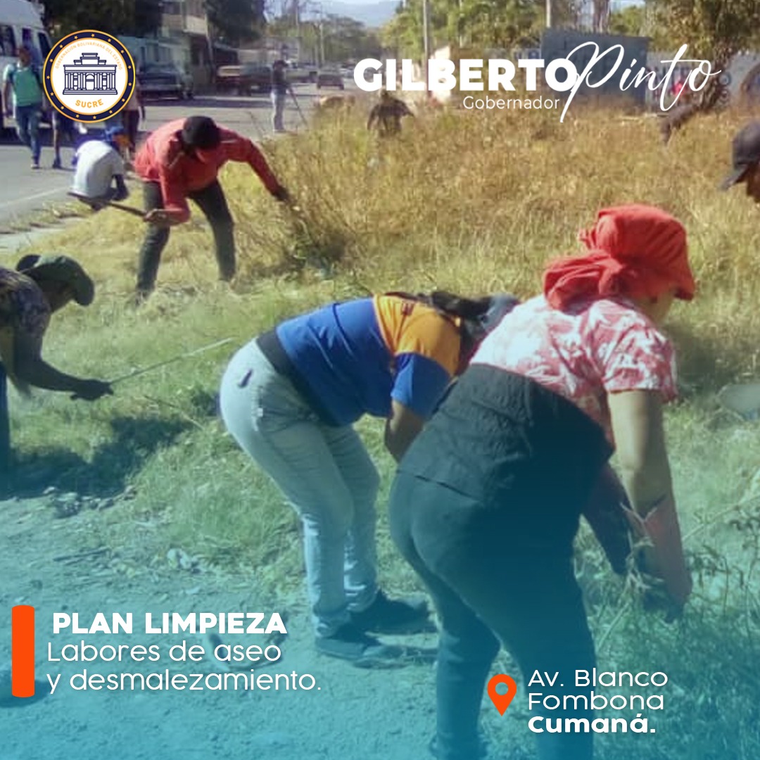 El equipo incansable de INASERVIP realiza labores de aseo y desmalezamiento en la Av. Blanco Fombona de Cumaná, a fin de brindar espacios óptimos y aseados a la población sucrense, gracias a los lineamientos instruidos por el Gdor. Almte. @GPintoVzla. 

#NiCorrupciónNiGuarimbas