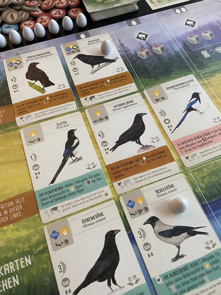 InesHandler's tweet image. Wingspan is an entertaining board game for people who are interested in birds. 

#wingspan #fluegelschlag #corvidae #crowfamily #corvids #kragefugle #kraaien #rabenvögel #birdwatching