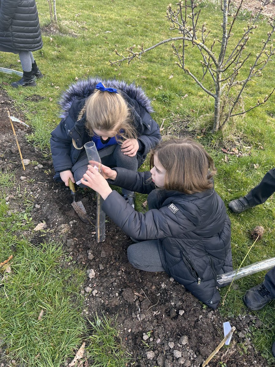 Frodsham Manor House tweet media