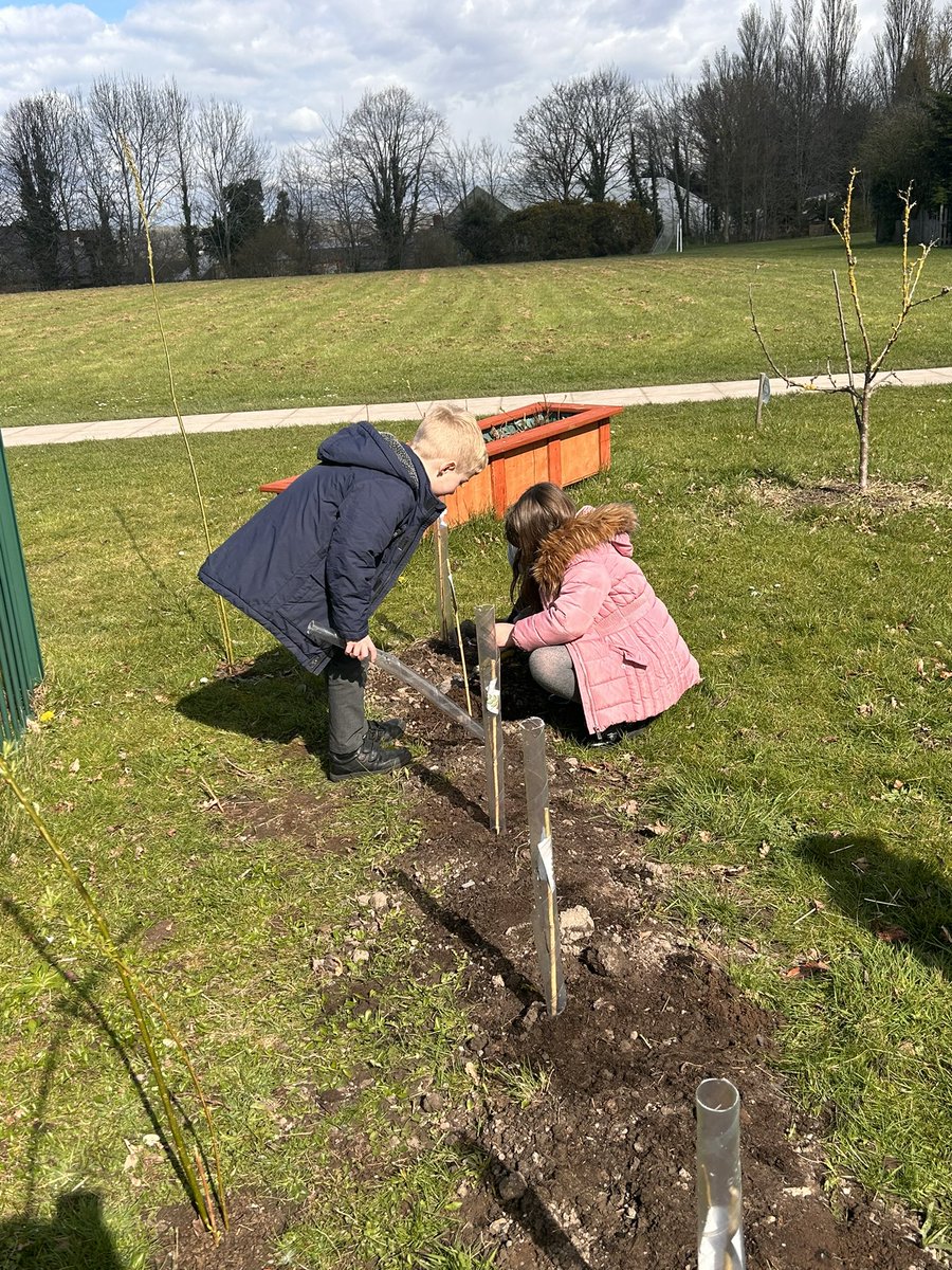 Frodsham Manor House tweet media