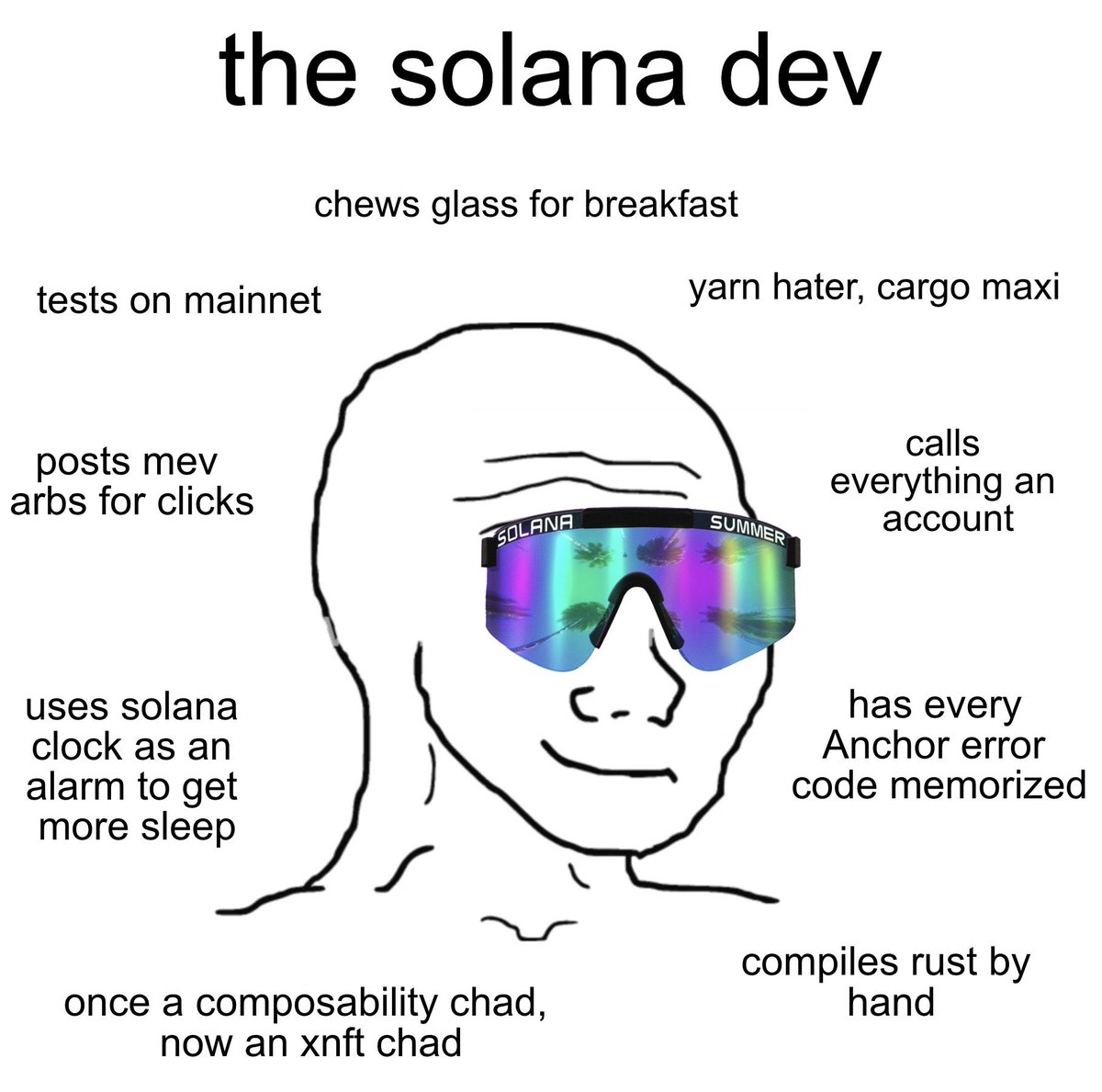 This is an account of the solana dev experience.