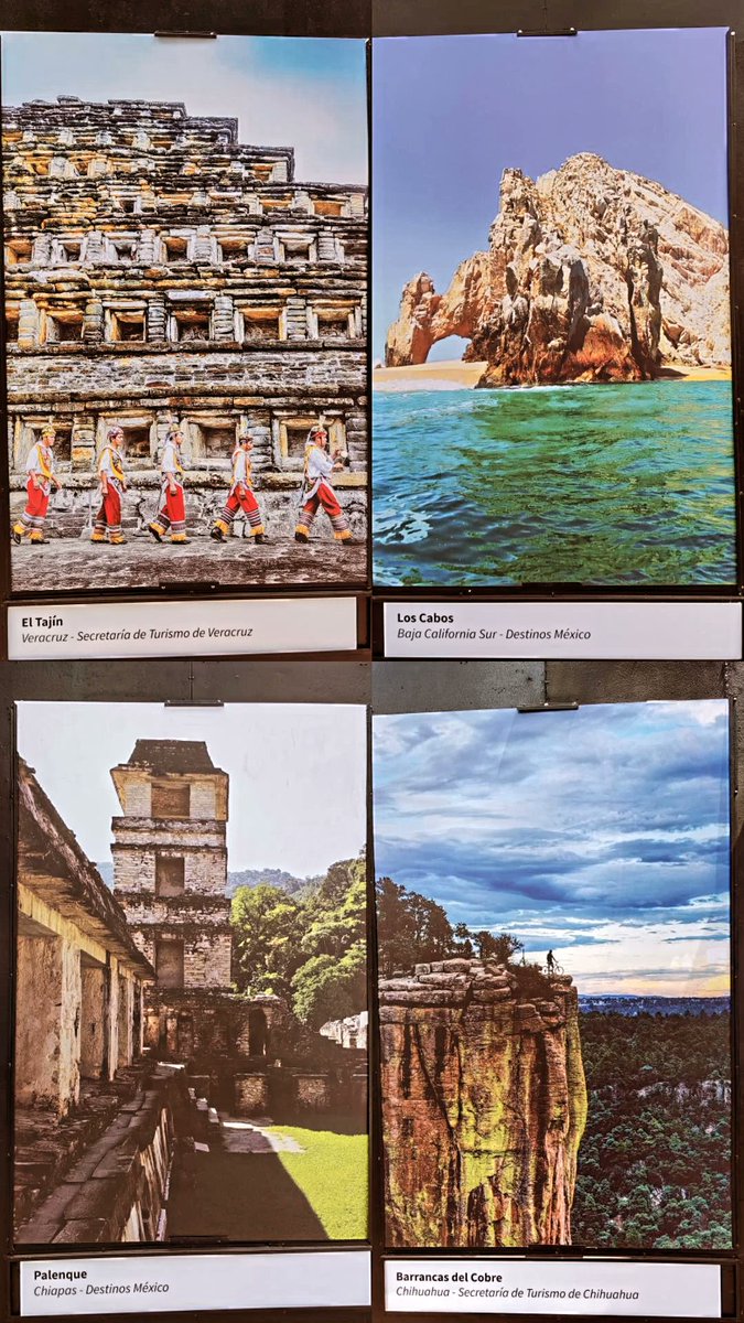 MexicoViajeraa's tweet photo. Esta exposición forma parte de las actividades del #TianguisTuristico2023, se encuentra frente a Reforma 222 y estará hasta el 31 de marzo. #TTCDMX #informacionparati #CiudaddeMéxico #TurismodeMéxico #laciudadquelotienetodo https://t.co/AJ4CGX7GX8