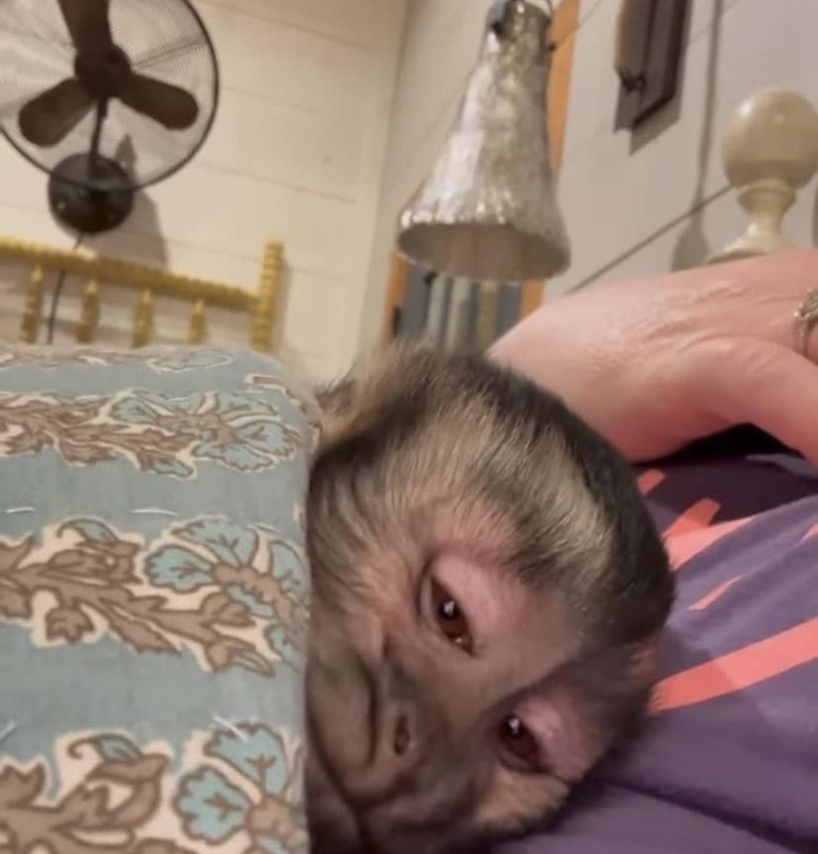 yo después de una siesta de 5 horas