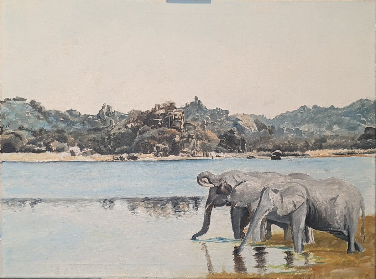 David Ritchie Wildlife Art (@DRitchiefineart) / Posts / X