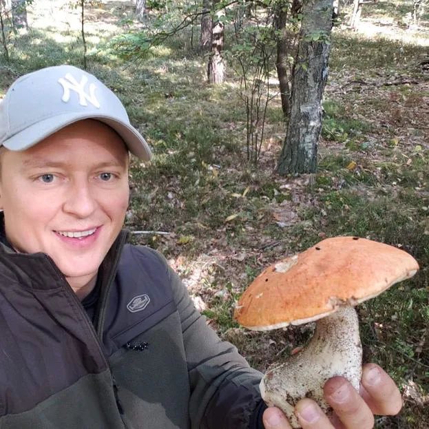 podwodnaglazura's tweet photo. szlachta z pana tadeusza koloryzowane #matura2023 https://t.co/Sl1JLuTKiY
