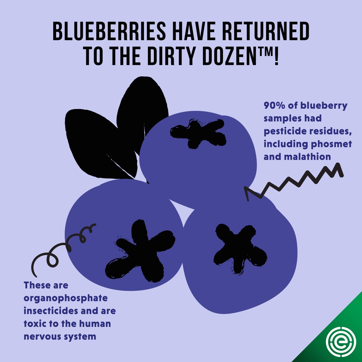 ewg's tweet image. Attention blueberry lovers: These popular fruits have returned this year to EWG’s Dirty Dozen™ list due to increased pesticide residues. 

Check out the 2023 #ShoppersGuide for the full #DirtyDozen and #CleanFifteen lists!

ewg.org/foodnews/full-…