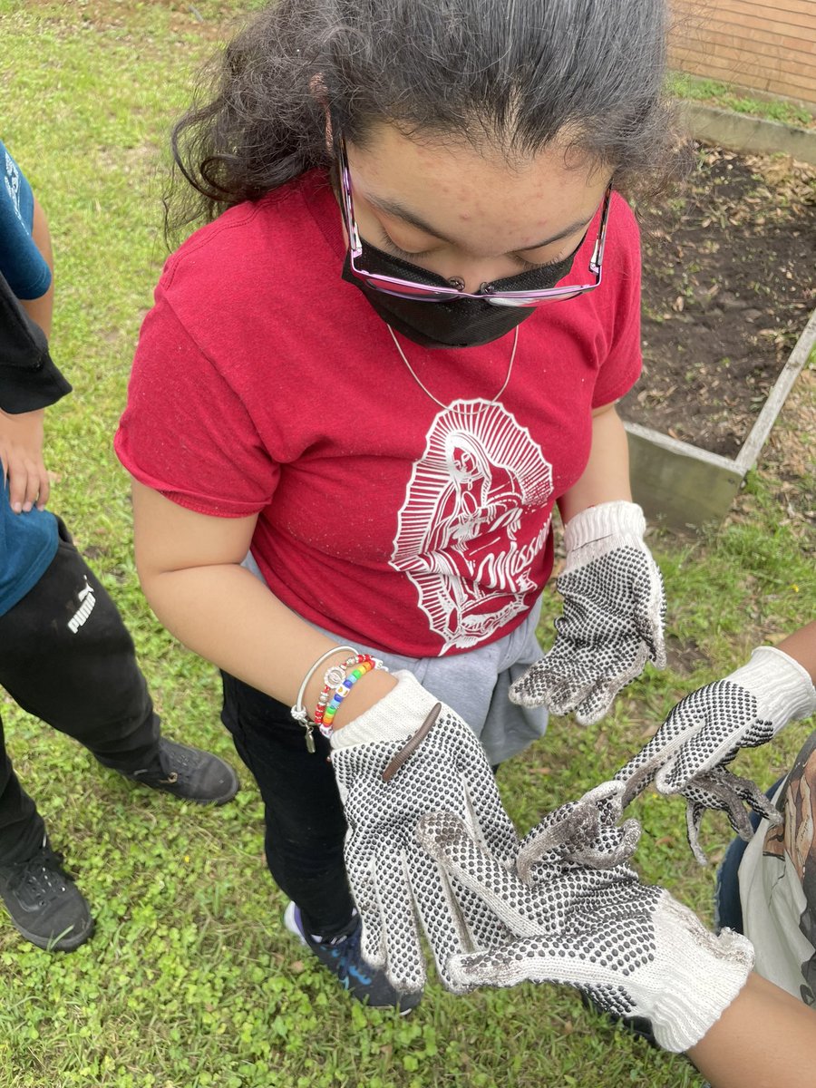 MagnetatDrew's tweet photo. We @Drew_AISD are providing our scholars with tools for sustainability that will last them a lifetime! Thank you @PVAMU and @mdanderson #bewellacreshomes #pvwellness #badgersinnovate #mathSCIENCE https://t.co/QzZz4Zpnht