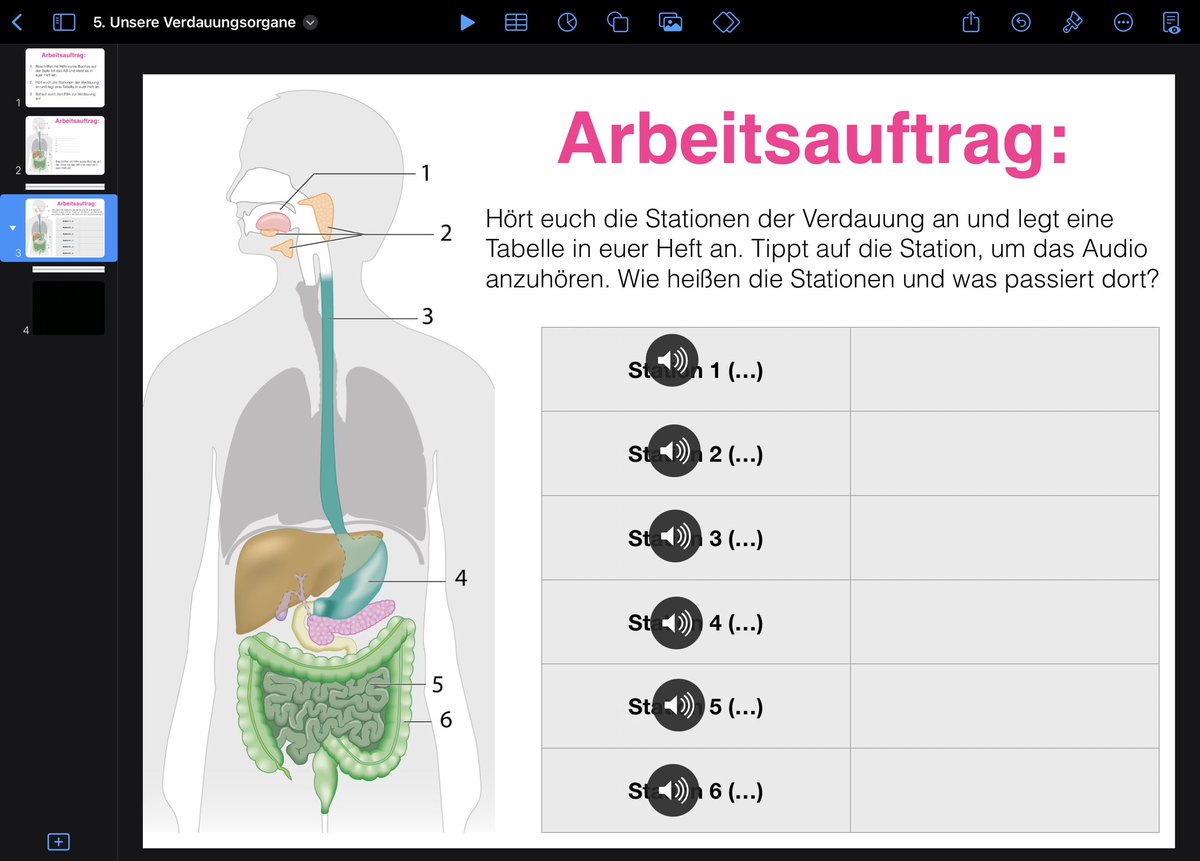 Morgen werden sich meine Schüler*innen die Verdauungsorgane mit einer #Keynote erarbeiten. Arbeitsaufträge mit Buch, eingesprochenen Audios und einem Film. Für die Lösungen sind Folien ausgeblendet. Wenn ich mich halt nur nicht so scheiße anhören würde… 😂🤷🏻‍♀️ #BayernEdu #twlz