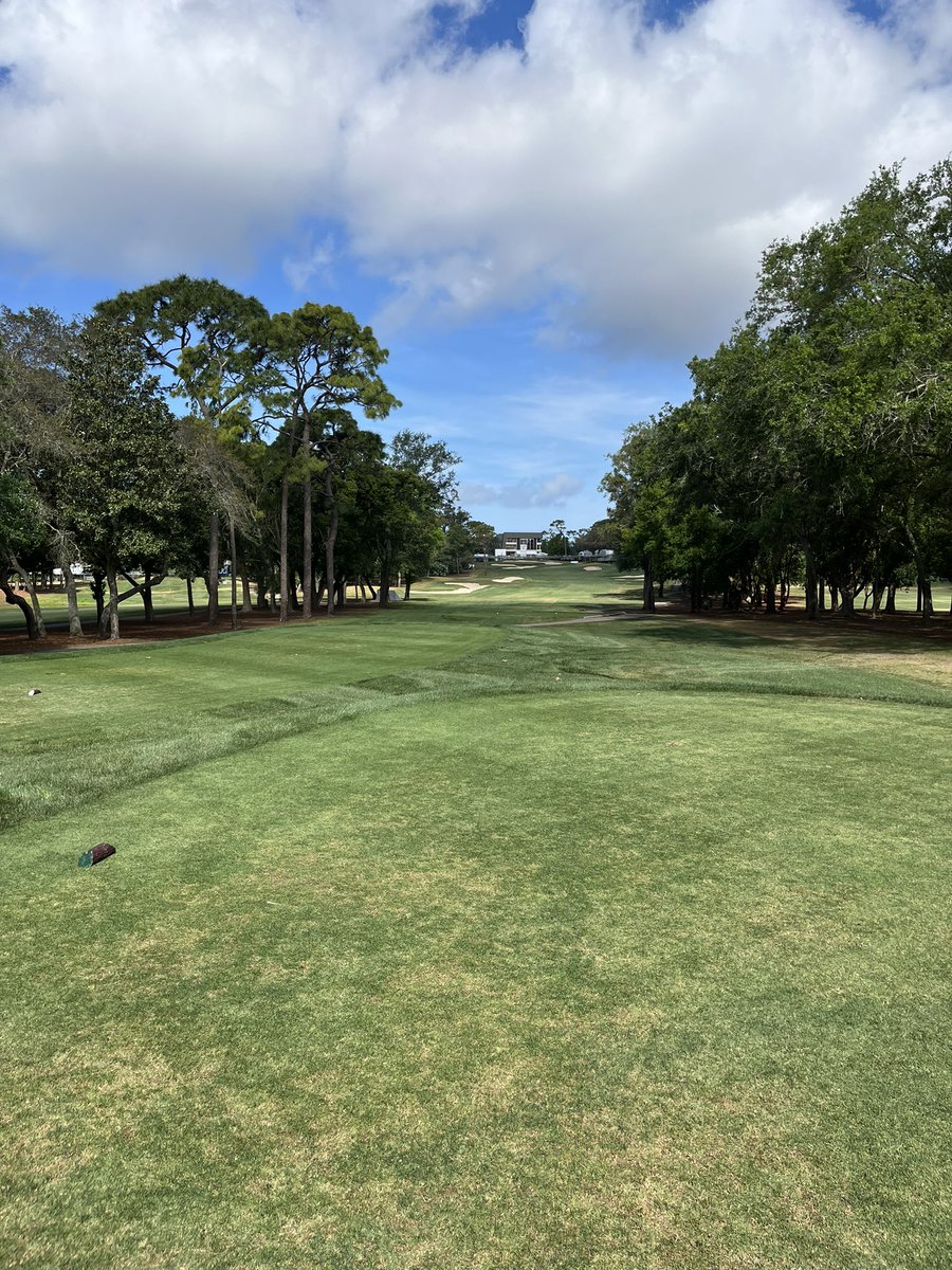 Copperhead ⛳️

#ValsparChampionship