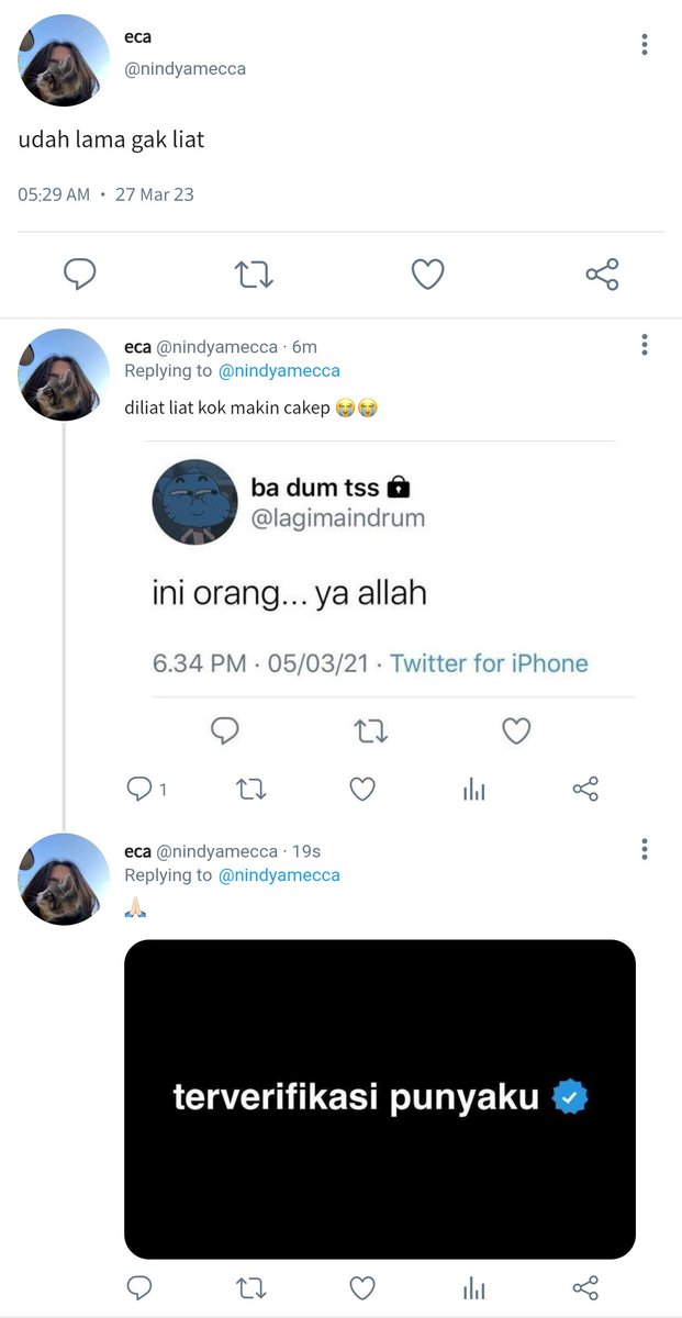 linaa ᯓᡣ𐭩 tweet media
