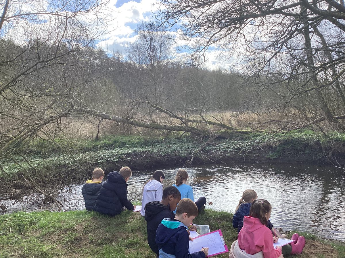 Mrs Ward tweet media