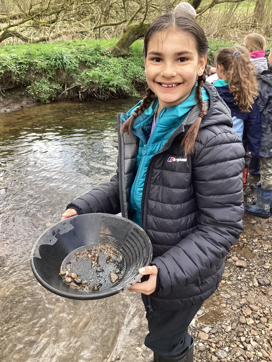 Mrs Ward tweet media