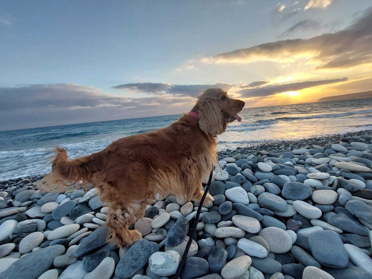 KaterinaChrysos's tweet image. Φως, αγάπη και στο ηλιοβασίλεμα! #sunset #limassol #myisland #islandlife #kourion