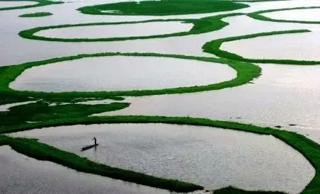 uganda_visa's tweet photo. Did you know 🇺🇬#uganda has 11 Ramsar sites, designated to be of international importance? Proud to have joined the Ramser Convention in 1988. 📷 #UGTravel #UgandaUncovered

✅ Get your Uganda visa online: https://t.co/pER7cqpopU https://t.co/ZYbbRl4imt