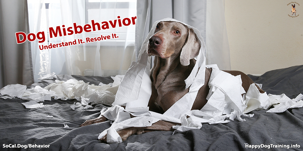 DogTrainerSoCal's tweet photo. Much of what is called dog misbehavior is rooted in genetic frustration. Read More: https://t.co/mXqpxfH2XI  #dogs #dogsoftwitter #dogtraining #happydogtraining https://t.co/M4QzeS86CH