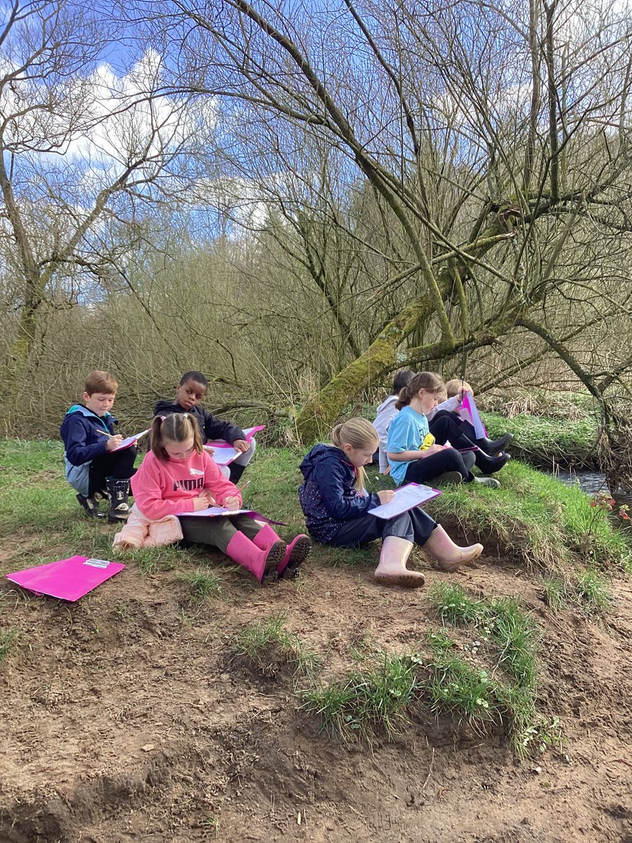 Mrs Ward tweet media