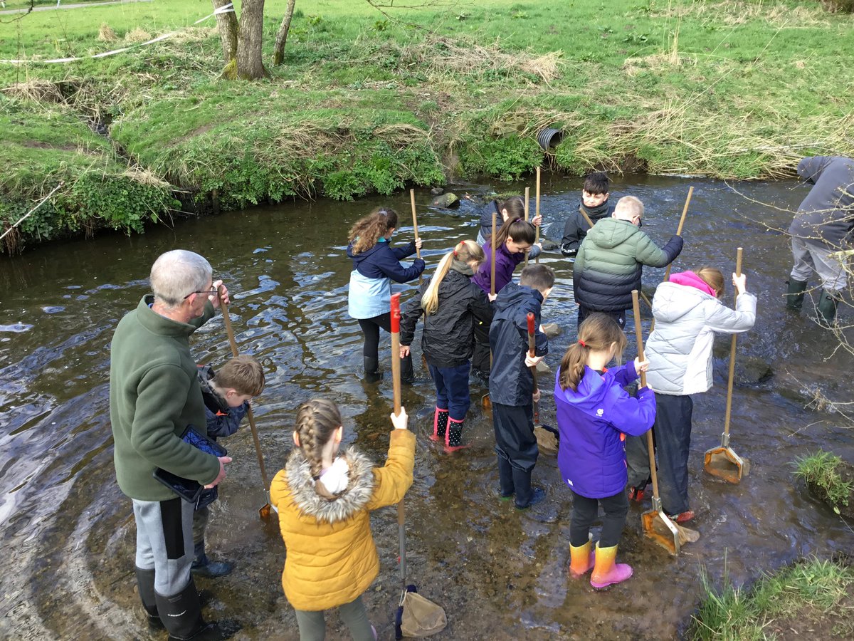 Mrs Ward tweet media