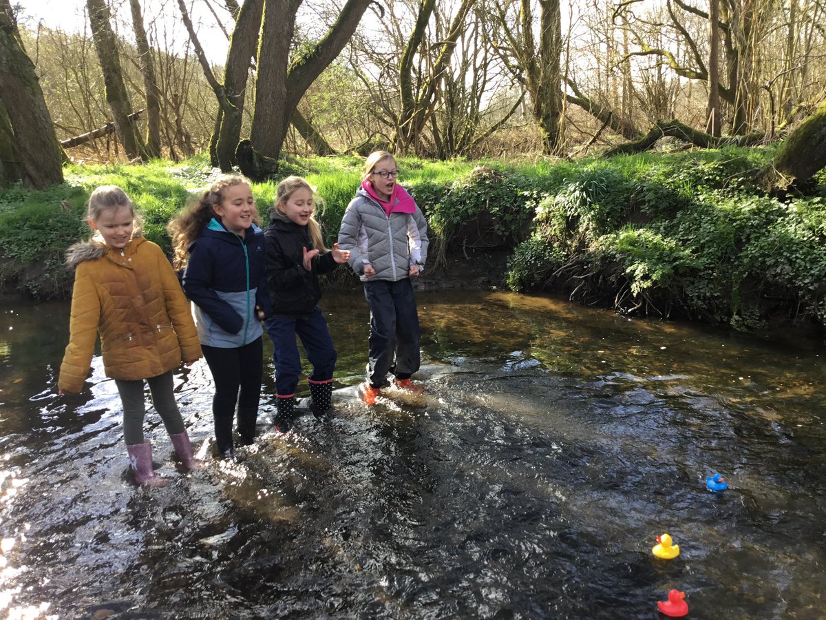 Mrs Ward tweet media