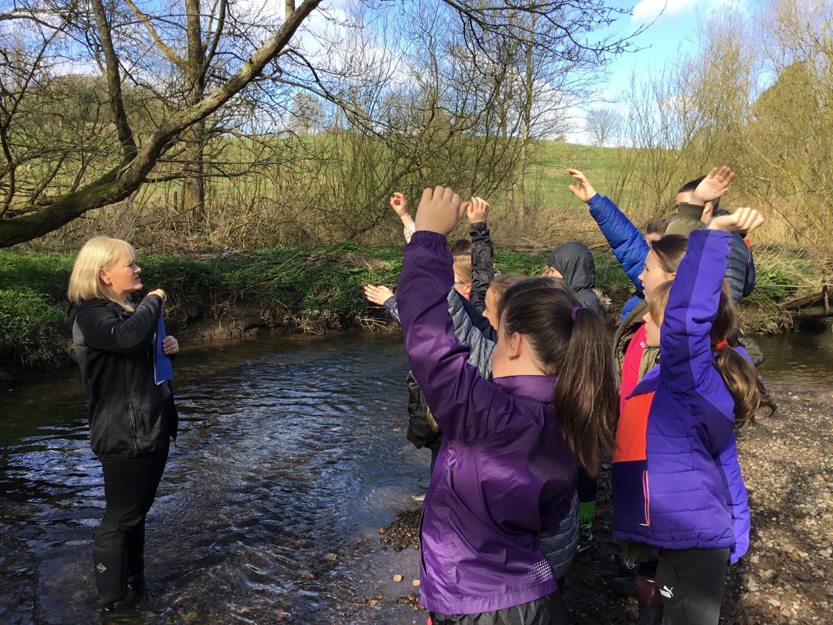 Mrs Ward tweet media