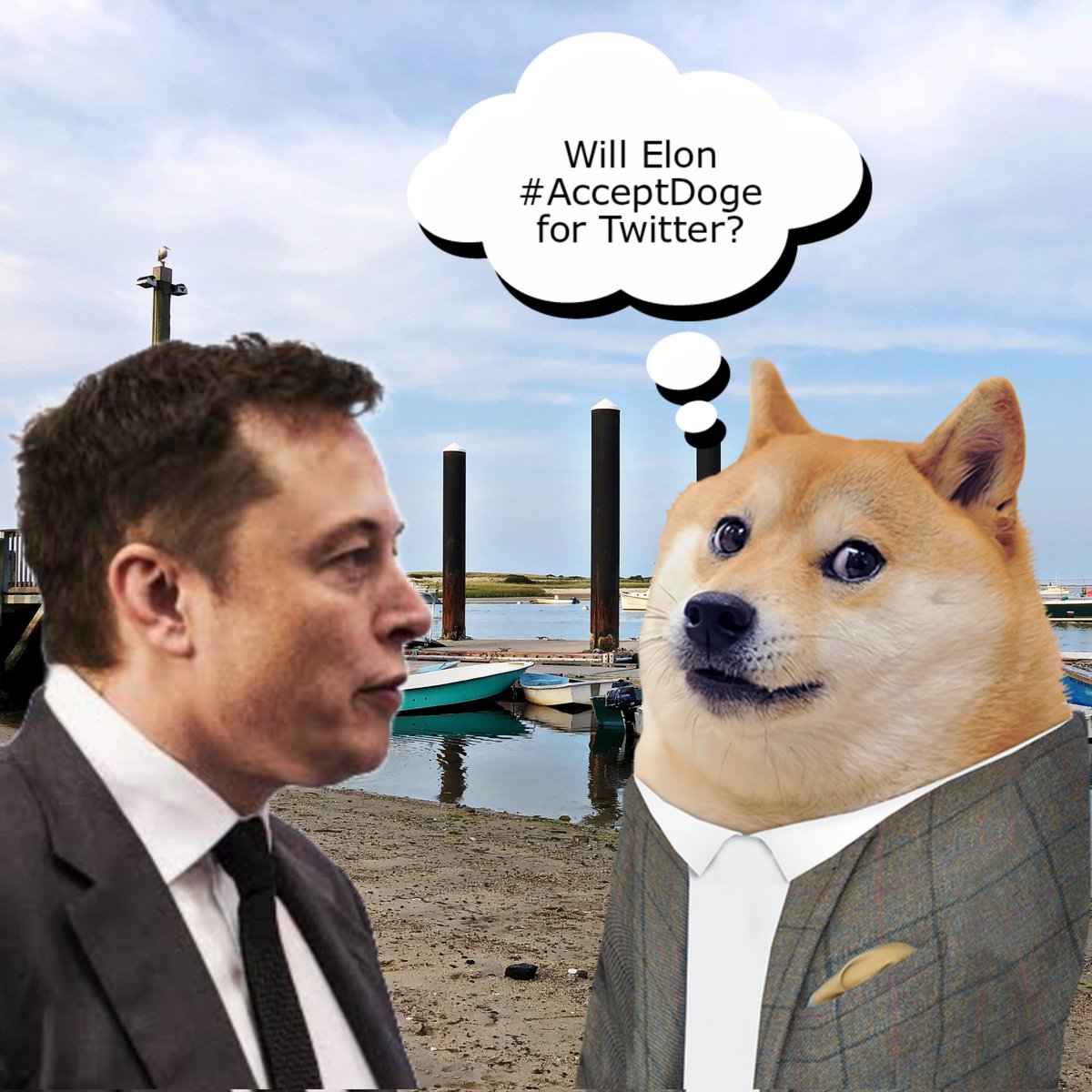 Will @elonmusk #AcceptDoge for @twitter? 🤔
#doge #dogecoin