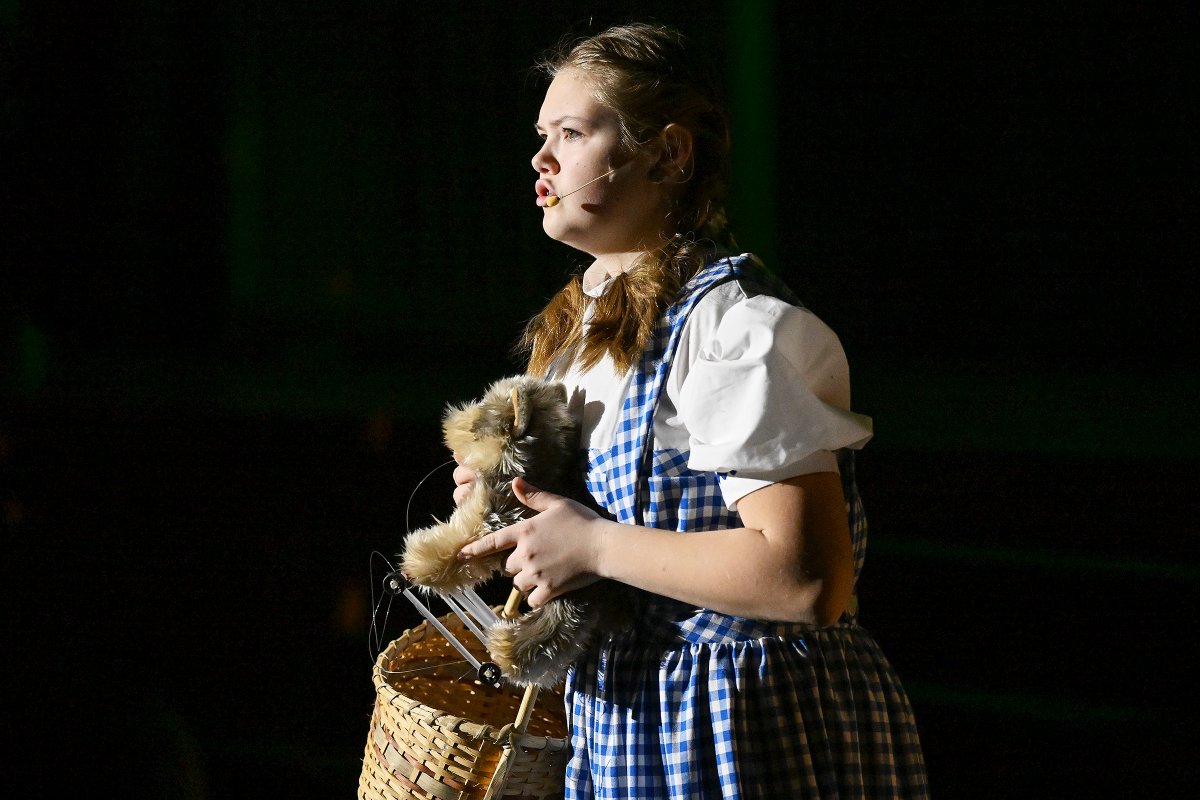 Erica Miller tweet media