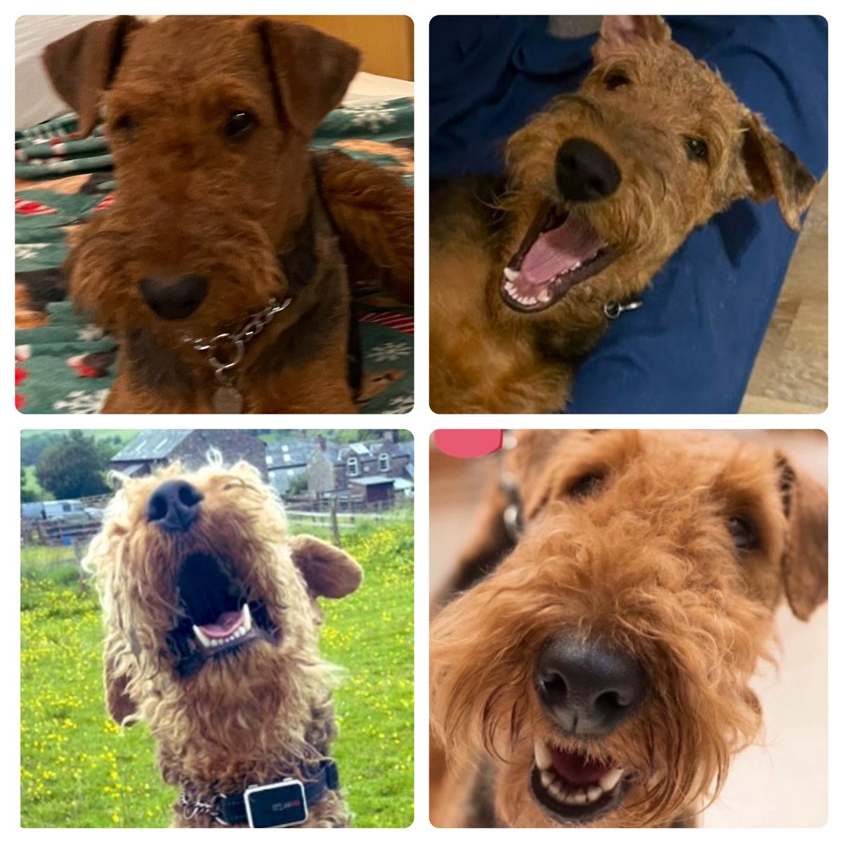 Macey/Winston/Hettie/Floyd/Jillfearnhead tweet media