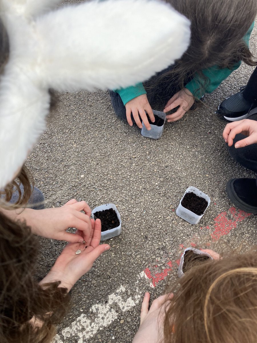 ThornhillPS's tweet photo. In Nature club this week @year2tps have made their own pots out of re-used milk bottles! They each planted a sunflower seed as well as made seed bombs to take home (once they’re dry). What stars! #TPSoutdoorlearning @EcoSchoolsWales https://t.co/vupaJPnFgM