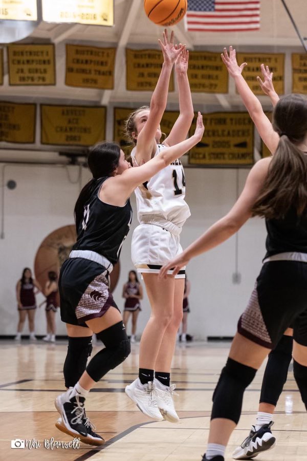 WFladyHoops's tweet photo. Congratulations to Junior guard Abby Rochelle for being named All-Conference! Abby averaged just over 10ppg this season and we are excited to have her for another year! #GoTigers! https://t.co/n9twIgimk1