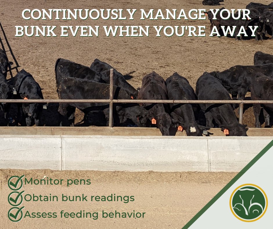 Continous bunk management is a no-brainer. You'll improve your operation with:

✅ Labor conservation
✅ Improved intake
✅ Reduced defects

Contact us today!
✉️ info@percision-livestock.com
🌐 precision-livestock.com/feeding

#agtwitter #cattle #agtech #feedyard