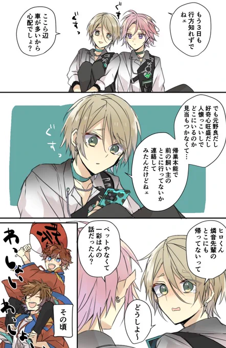 ひいろくんオス1.7歳 