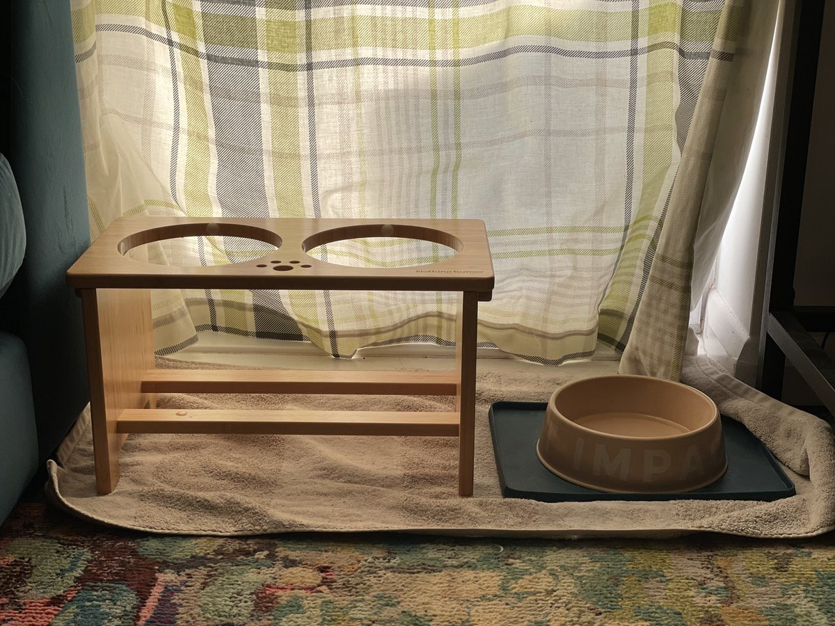 leksikality's tweet photo. Monster's new meal setup (raised bit). Someone may have dropped her original bowl and broken it. 🫣

She hasn't barked at it, at least, so apparently it's allowed to stay.

We'll see if it's determined fit for use. 🤞

#AutisticDogLife #PuppyChallenges #GSD https://t.co/wO3w9AxiFv
