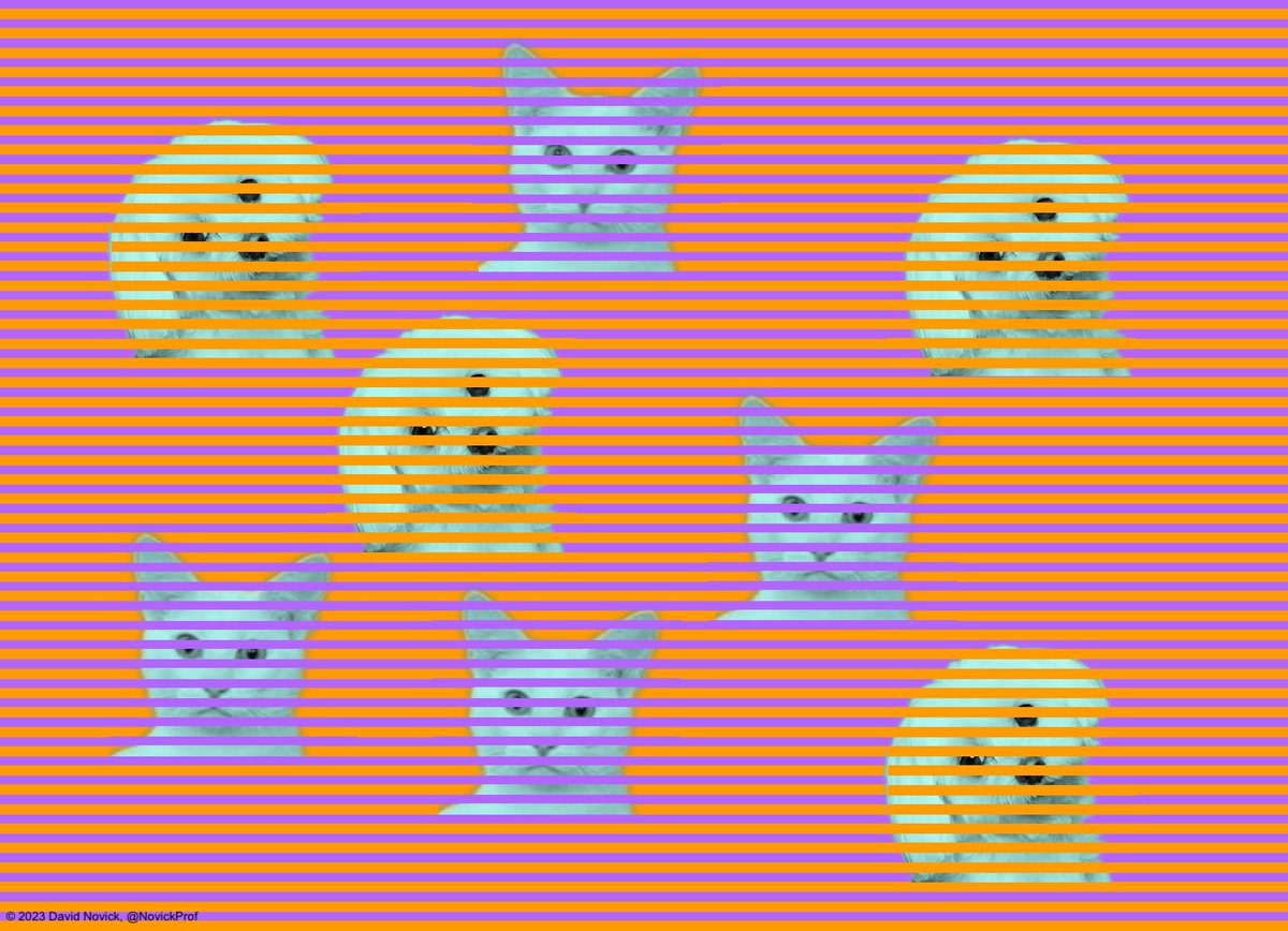 NovickProf's tweet photo. Cats and Dogs 10: In this Munker illusion, the background animals that appear to be yellow and blue  actually all have the same base color (RGB 180 255 225). Original .png file is at https://t.co/C5oILhgvpM. https://t.co/omdK6Dtv8N