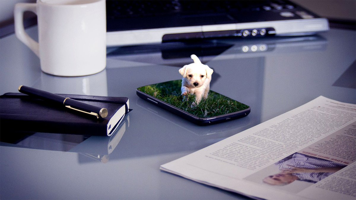 SoteriaBackup's tweet photo. "Someone cracked my password. Now I need to rename my puppy.” –Unknown-- https://t.co/obA7hoPfrt