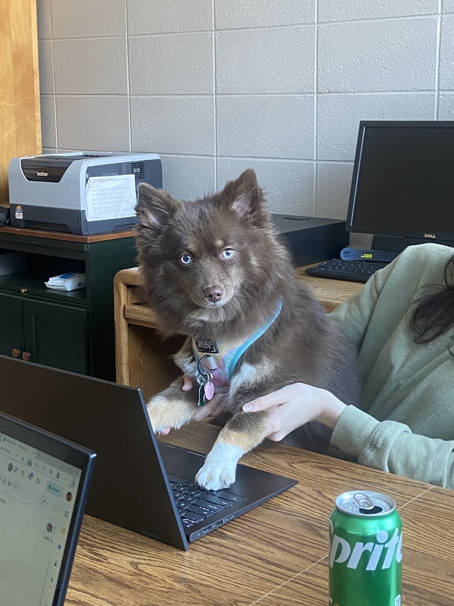 realMushMag's tweet photo. Cleo became our newest and youngest editor https://t.co/SQF2sQ9BOO