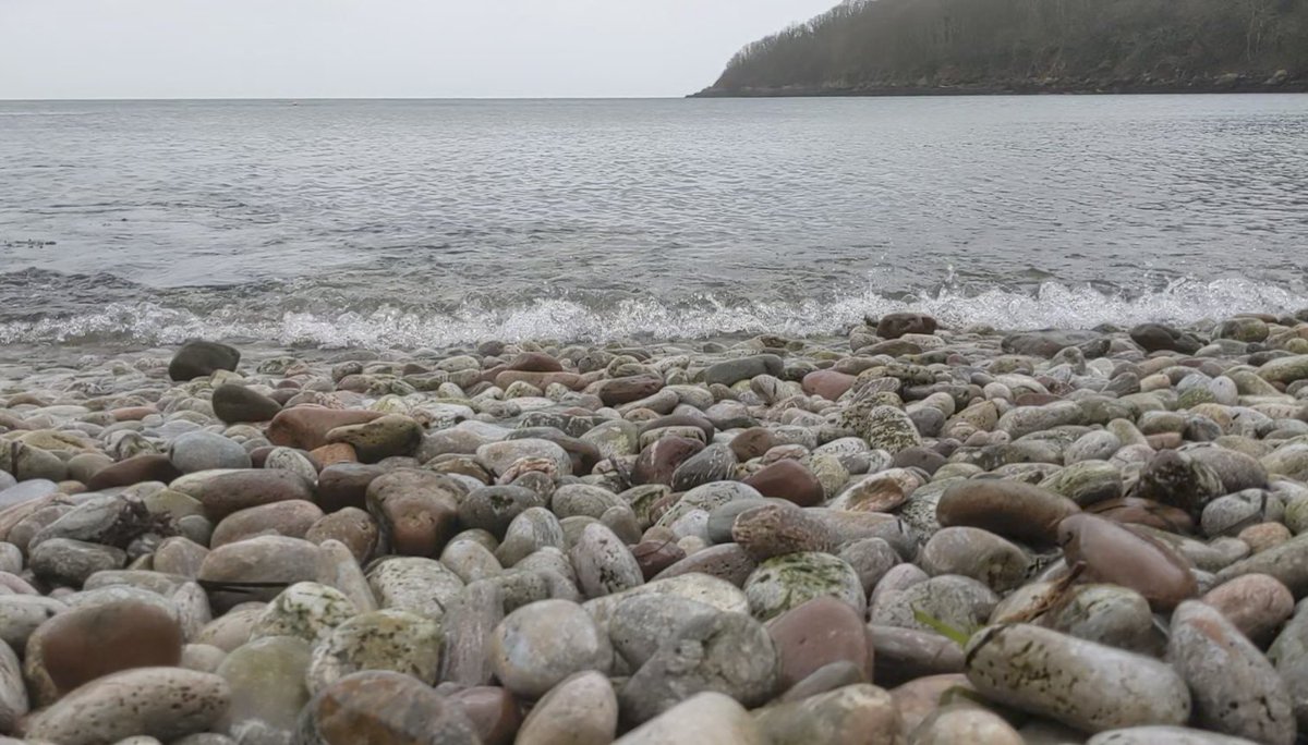 TorlandsA's tweet photo. 📸 What do you like to take pictures of at the beach? Alice is a one of our forest school students and this is what she snapped on her recent trip to #ElburyCove #snaphappy #takemetothebeach #beachinspiration #photography https://t.co/Dj8ETIGglP