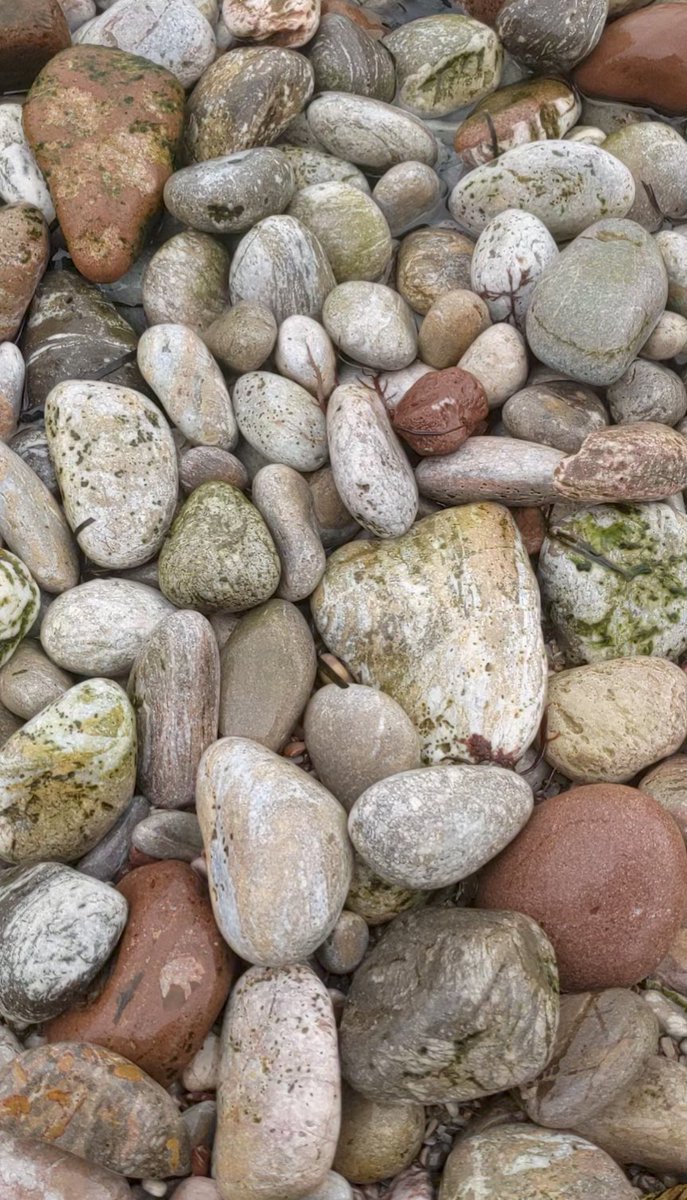 TorlandsA's tweet photo. 📸 What do you like to take pictures of at the beach? Alice is a one of our forest school students and this is what she snapped on her recent trip to #ElburyCove #snaphappy #takemetothebeach #beachinspiration #photography https://t.co/Dj8ETIGglP
